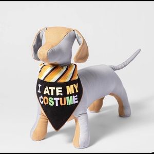 Pet Collar Slide Dog Bandana